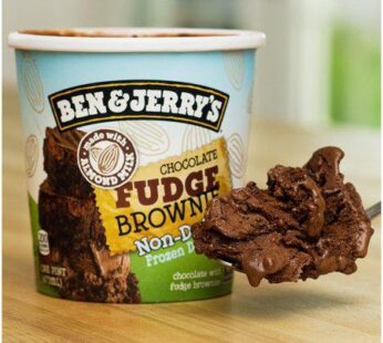 Chocolate with Fudge Brownies Non-Dairy Frozen Dessert